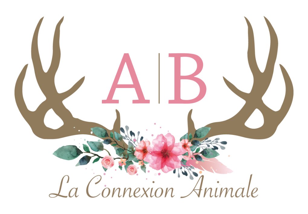 La connexion animale
