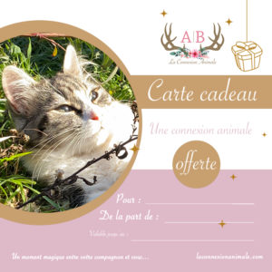 Carte cadeau pour une connexion animale